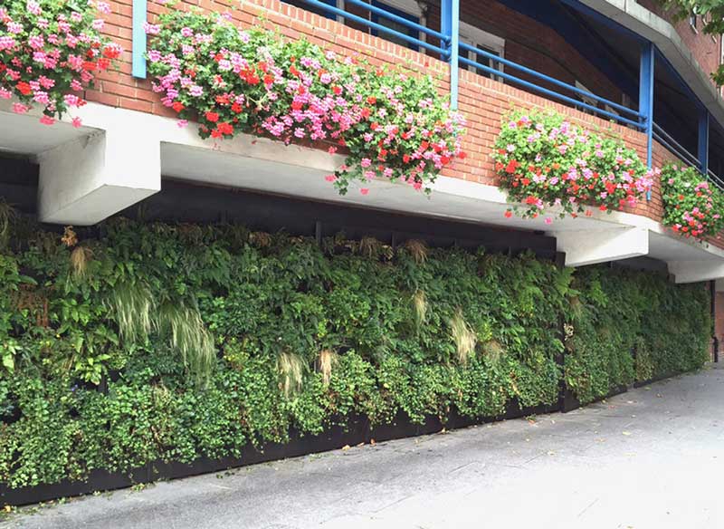 rain garden vertical garden